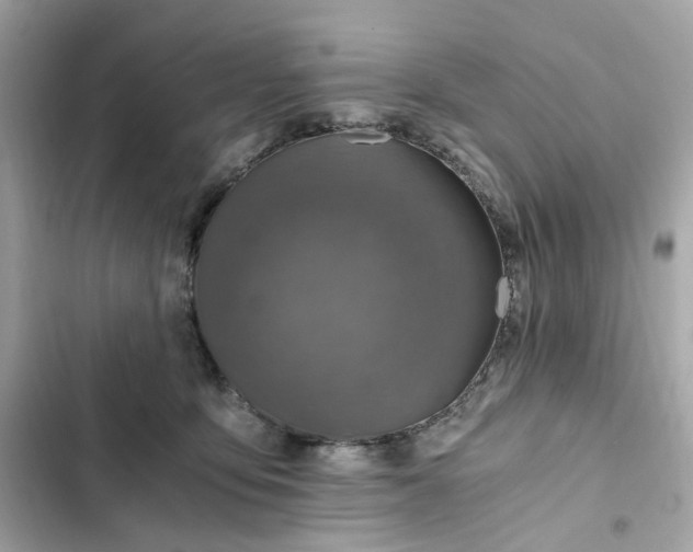 X0000102370419200808151839