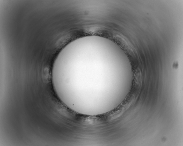 X0000102370420200808151839