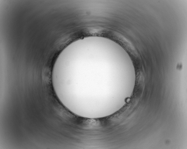 X0000102370421200808151839