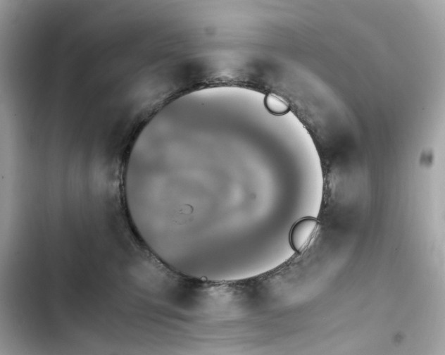 X0000102370423200808151839