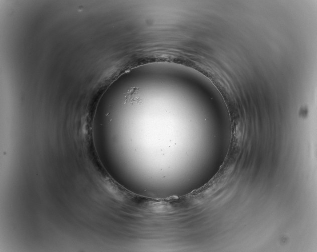 X0000102370424200808151839