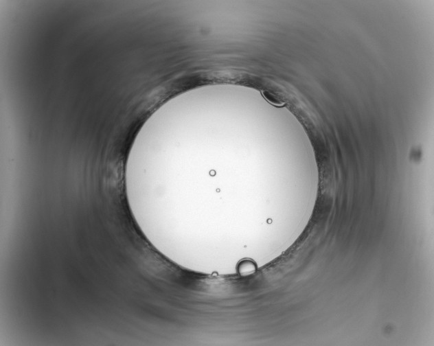 X0000102370425200808151839