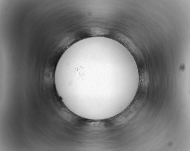 X0000102370426200808151839