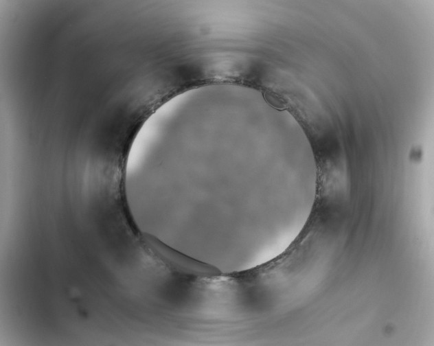 X0000102370427200808151839