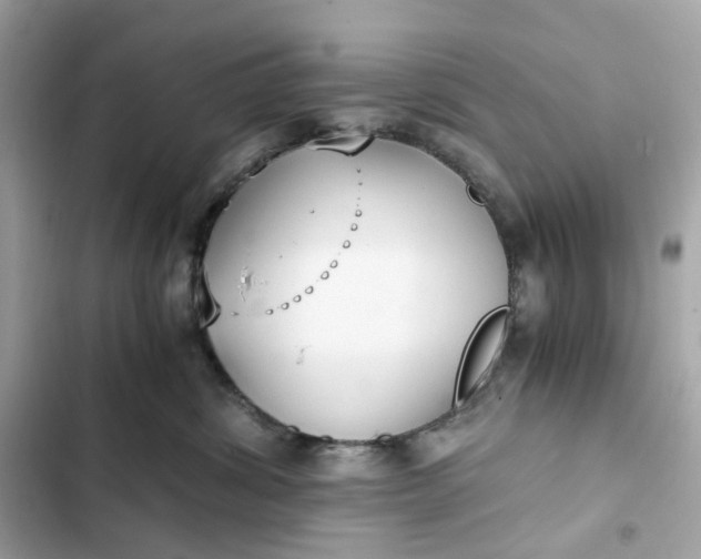 X0000102370428200808151839