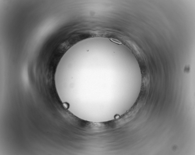 X0000102370429200808151839