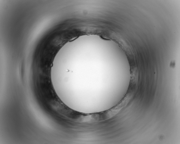 X0000102370430200808151839