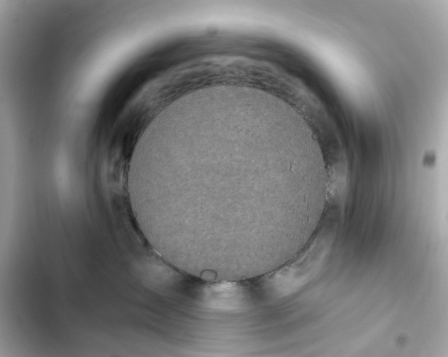 X0000102370431200808151839