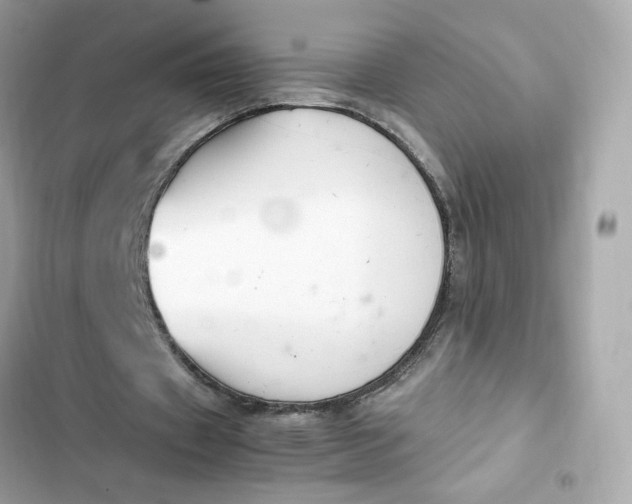 X0000102370433200808151839