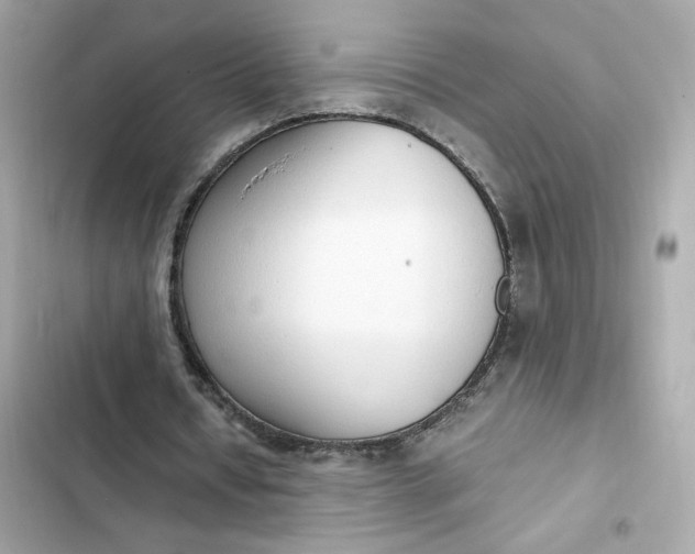 X0000102370434200808151839