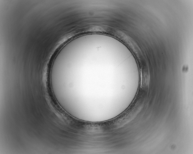 X0000102370435200808151839