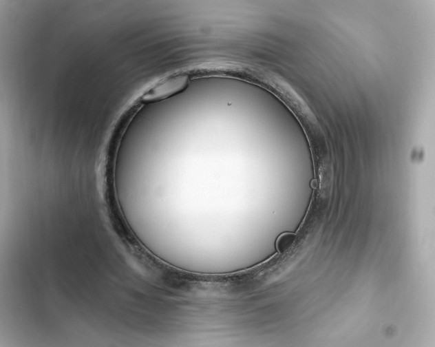 X0000102370436200808151839