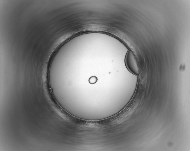 X0000102370437200808151839