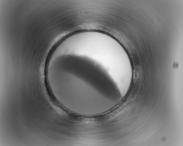 X0000102370438200808151839