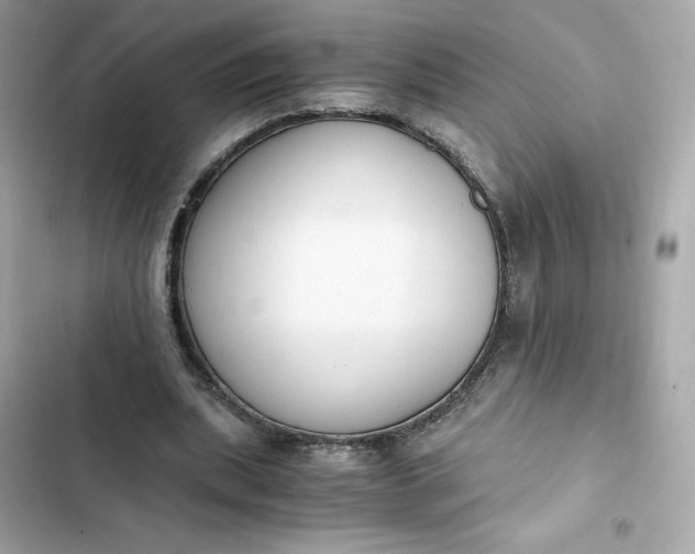 X0000102370439200808151839