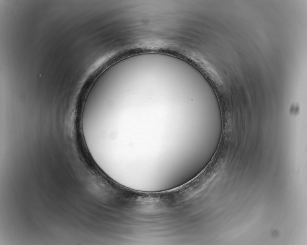 X0000102370440200808151839