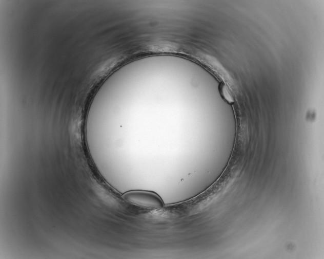 X0000102370441200808151839