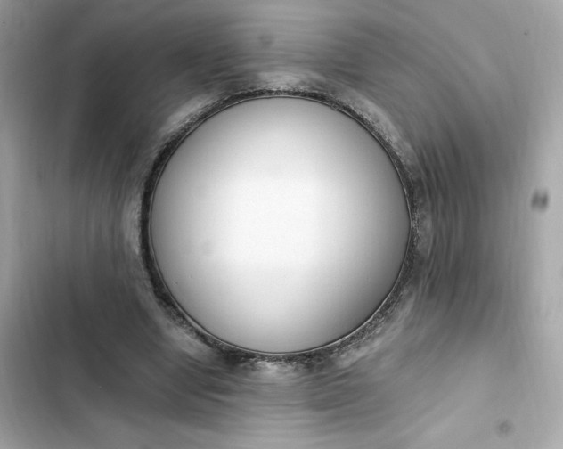 X0000102370442200808151839