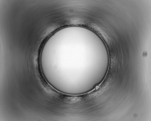 X0000102370443200808151839