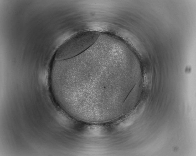 X0000102370444200808151839