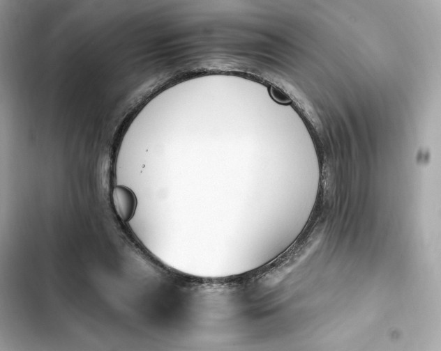 X0000102370445200808151839