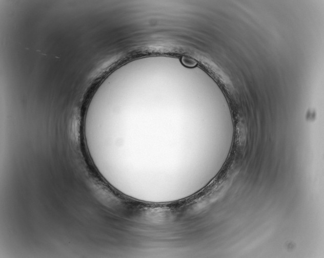 X0000102370446200808151839