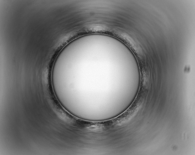 X0000102370447200808151839