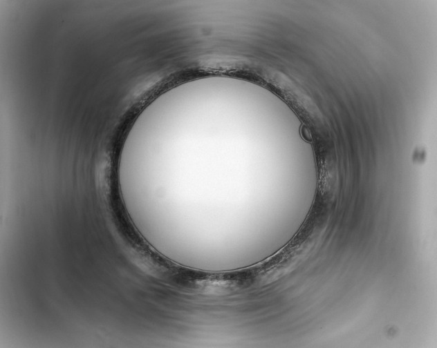 X0000102370448200808151839