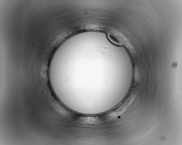 X0000102370449200808151839