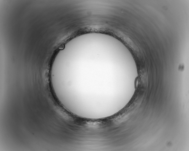 X0000102370450200808151839