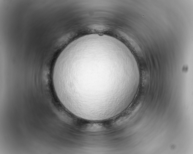 X0000102370451200808151839