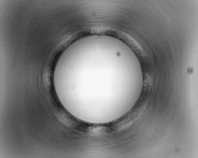 X0000102370452200808151839