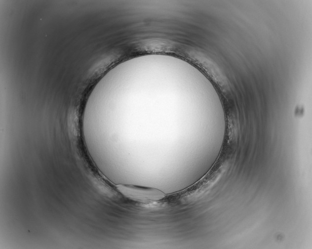 X0000102370453200808151839