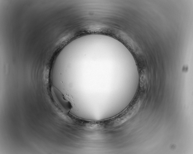 X0000102370454200808151839