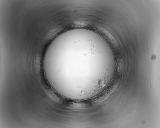 X0000102370455200808151839