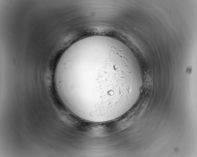 X0000102370456200808151839