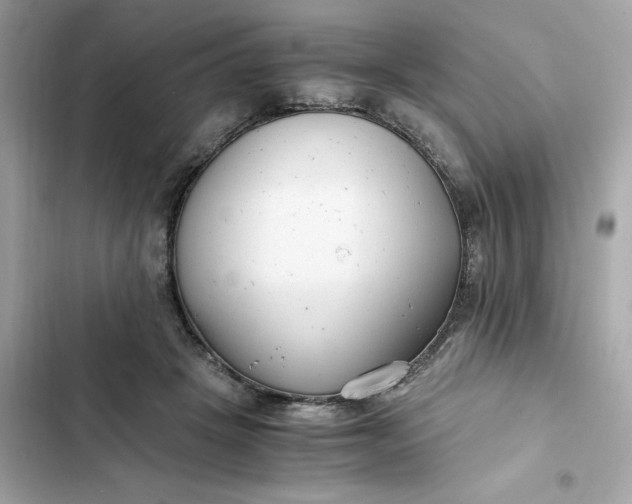 X0000102370457200808151839