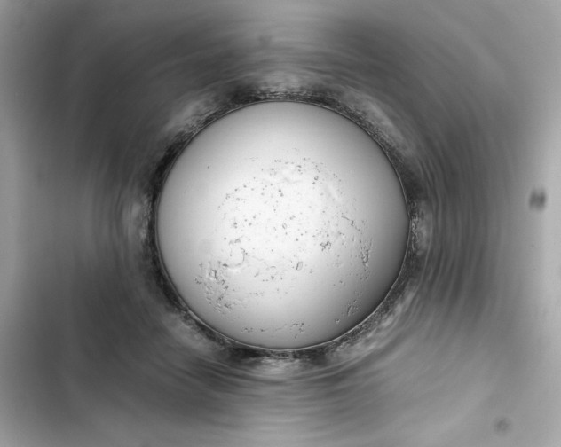 X0000102370458200808151839