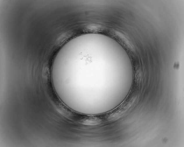 X0000102370459200808151839