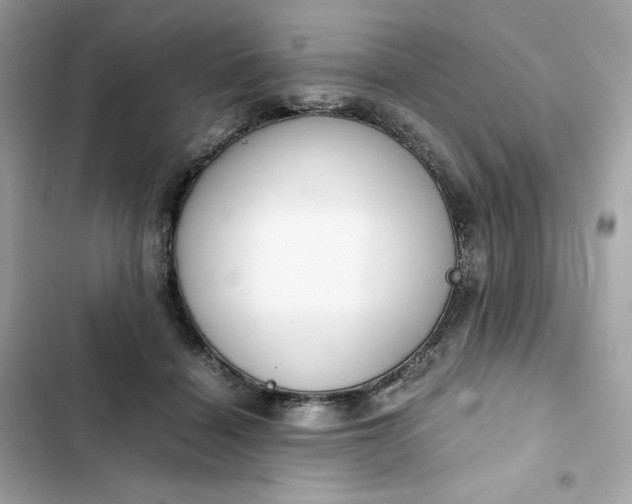 X0000102370460200808151839