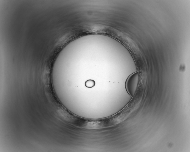 X0000102370461200808151839