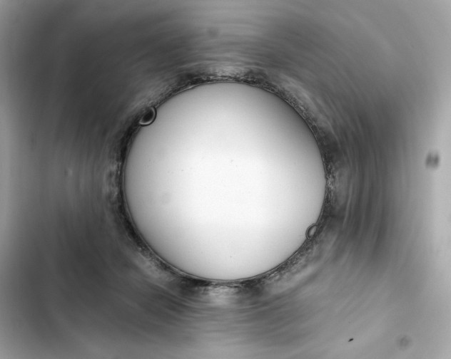 X0000102370462200808151839