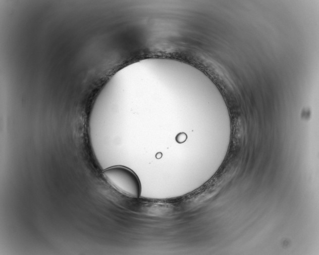 X0000102370463200808151839