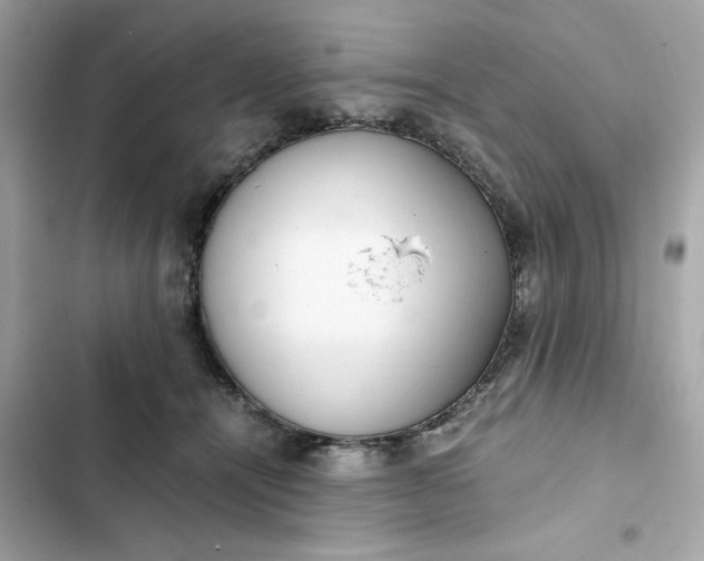 X0000102370464200808151839