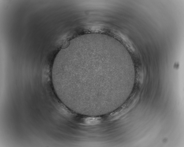 X0000102370465200808151839