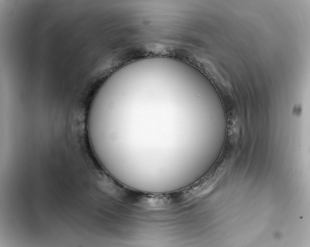 X0000102370466200808151839