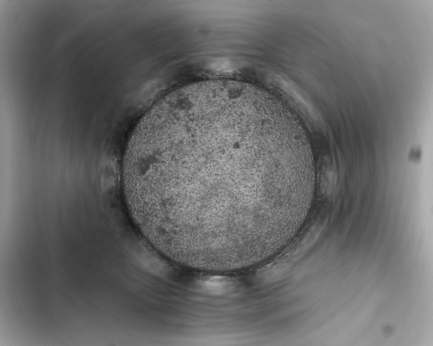 X0000102370467200808151839