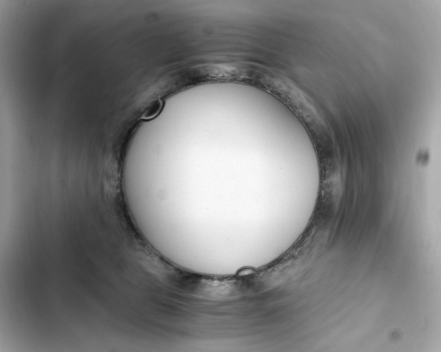 X0000102370469200808151839