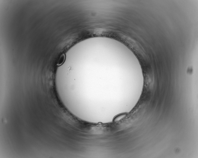 X0000102370470200808151839