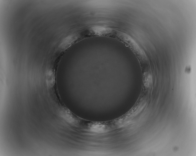 X0000102370471200808151839